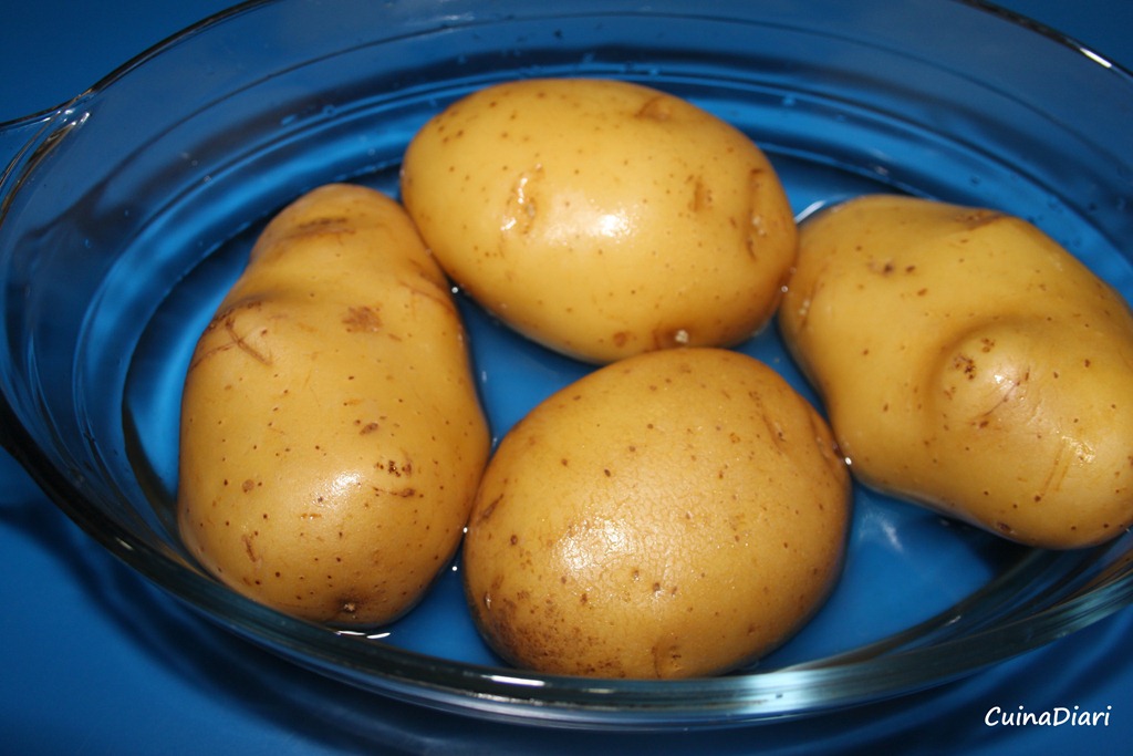 [1-1-amanida-patata-i-variants-1-14.jpg]