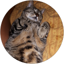 Image Google de Bérangère M