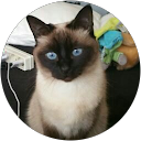 Image Google de Sarah Davin