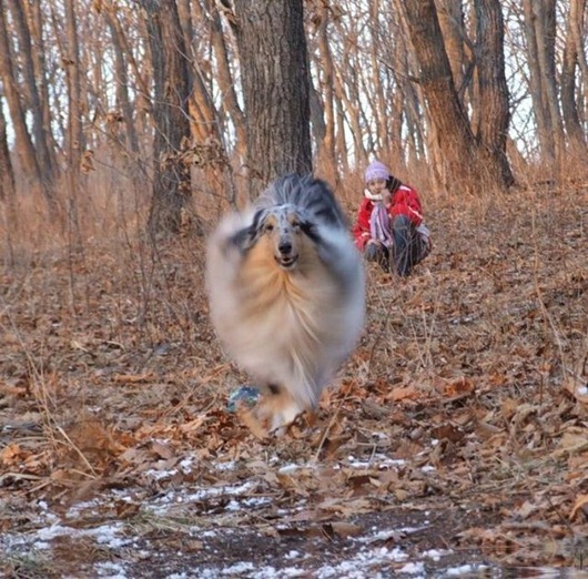 [dogs_053%255B2%255D.jpg]