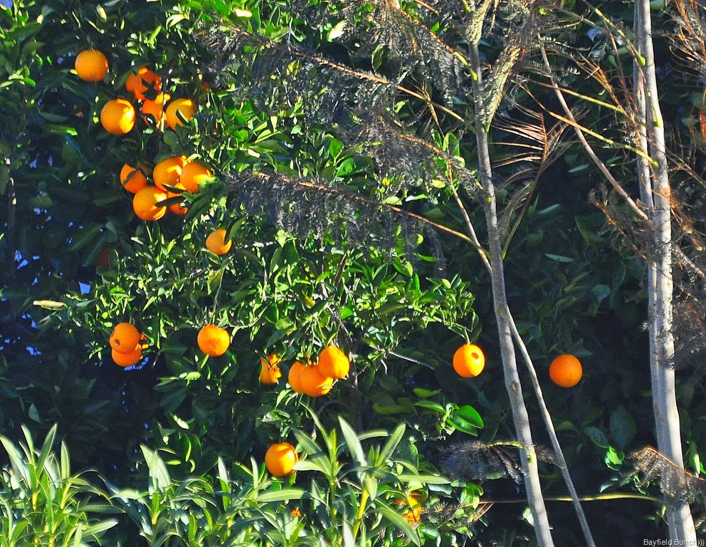 [DSC_0018-002%255B4%255D.jpg]