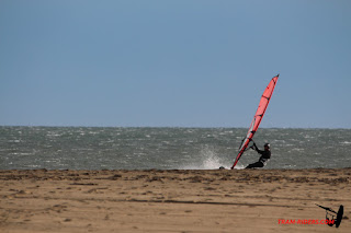20150221Rouet067.JPG