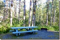 Our interesting picnic area with its trianglular fire pit.