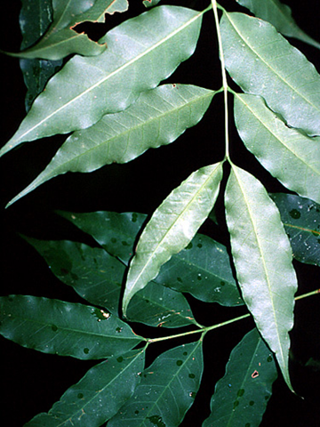 [image%255B11%255D.png]