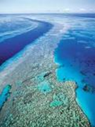 Gt. Barrier Reef