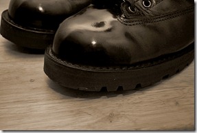 Polished Shoes Sepia