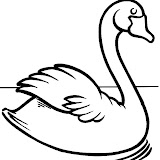 cisne.jpg