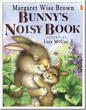 bunny noisy book book