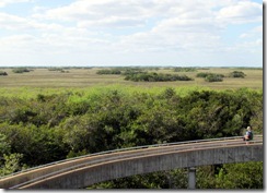 Shark Valley Everglades