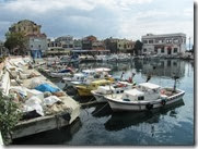 IMG_8366 IMG_8366