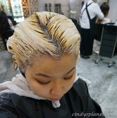 [ash%2520hair%2520colour2%255B2%255D.jpg.webp]