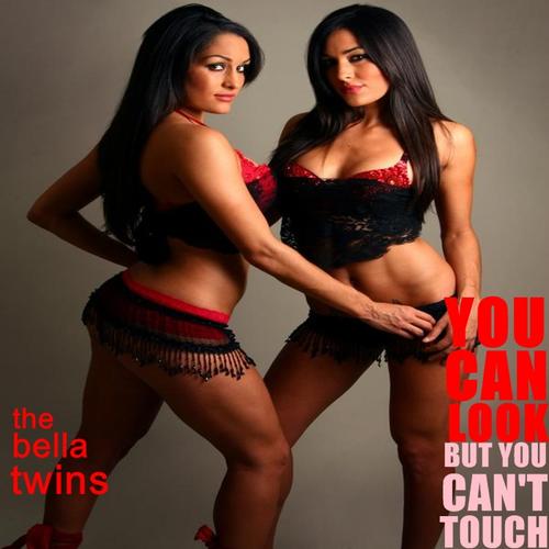 The Bella Twins