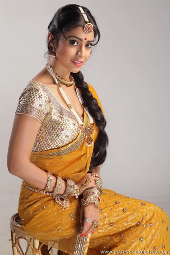 shriya New Saree Navel Show