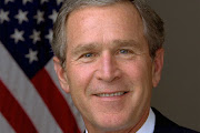 Bush