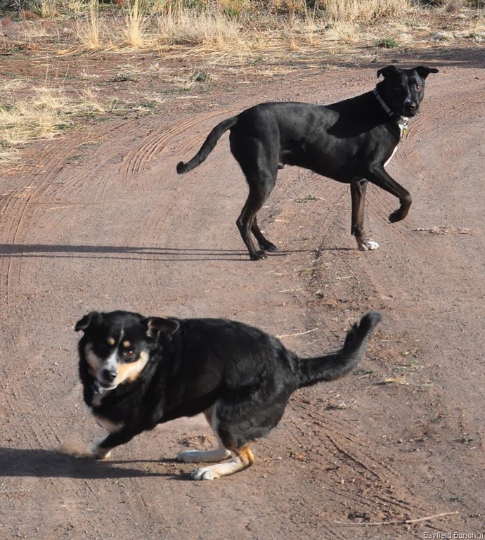 [DSC_0022%255B4%255D.jpg]