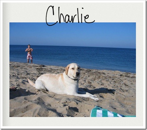 Charlie (2)