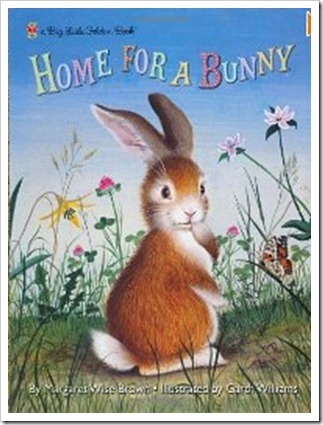home for a bunny
