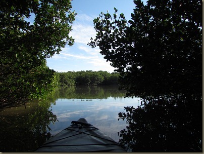 kayaking at Curry Hammock State Park, leaving mangrove
