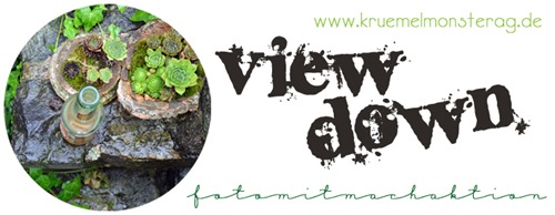 LOGO view down LOGO view down