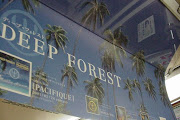 Deep Forest