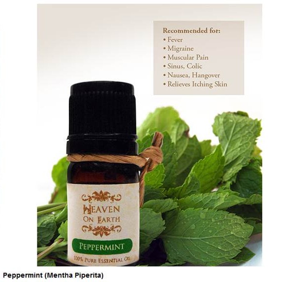 [clip_image026%255B6%255D%255B6%255D.jpg.webp]