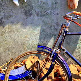 bicycle thevies by Neha Neekhra - Transportation Bicycles