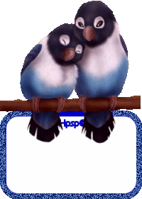 blinkie-birdlove-hpsp10
