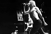Iggy Pop