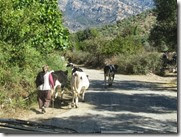 IMG_8118 IMG_8118