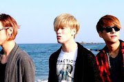 Lunafly