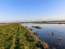 Skjern Au _ Oktober 2012 - 088