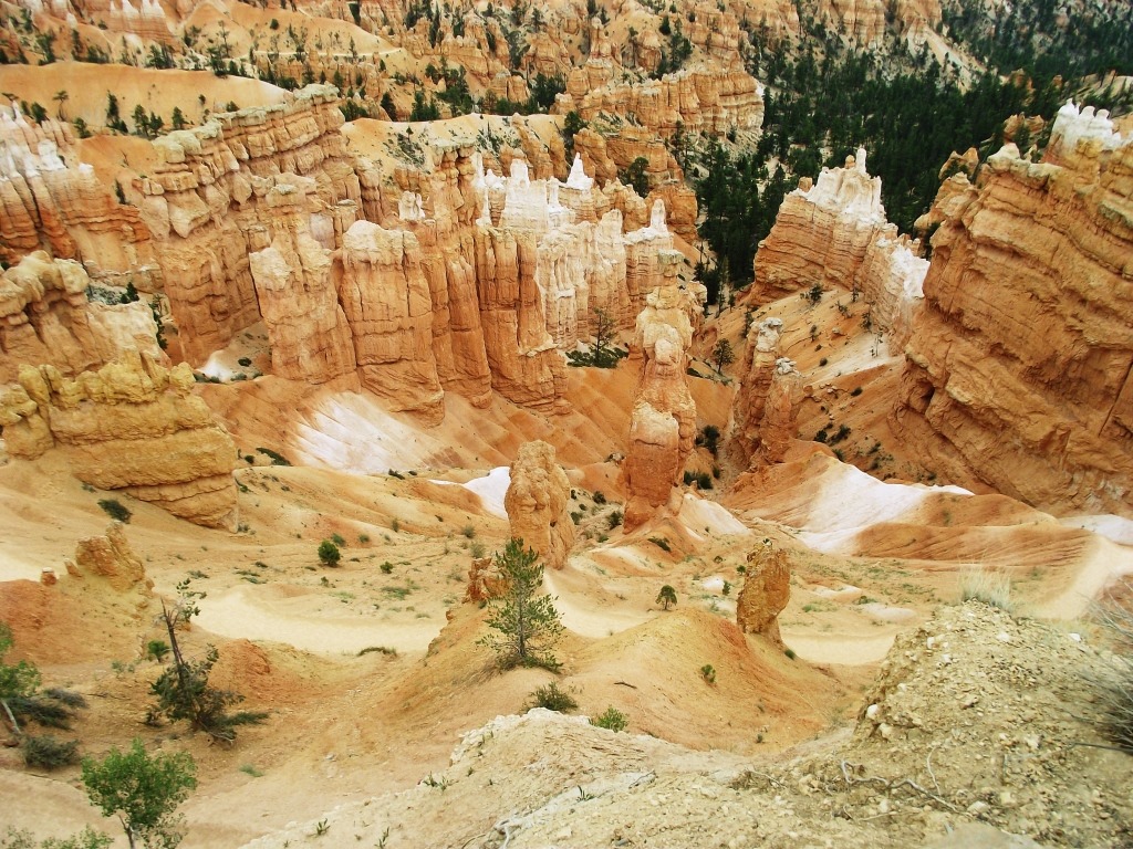 [DSCF9863%2520-%2520Kopie%255B4%255D.jpg]