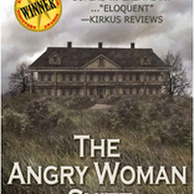 Orangeberry Book of the Day - The Angry Women Suite - Lee Fullbright