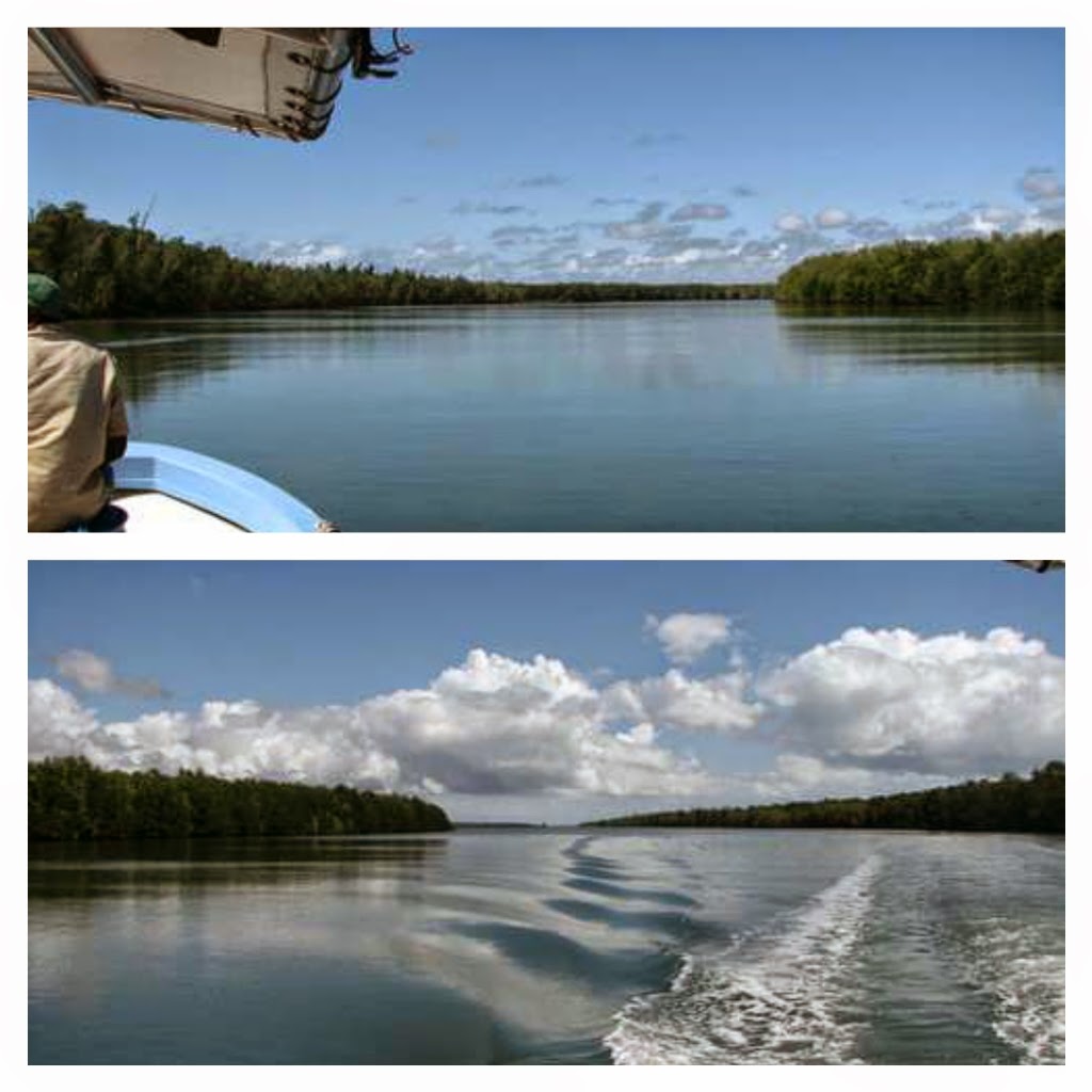 MARIDHAWA RUFIJI RIVER DELTA (DELTA YA MTO RUFIJI)