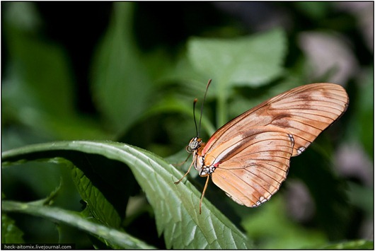 [clip_image001%255B3%255D.jpg]