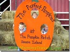 Sauvie Island Pumpkin Patch