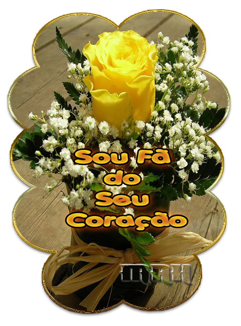 FADOSEUCORACAO1.png