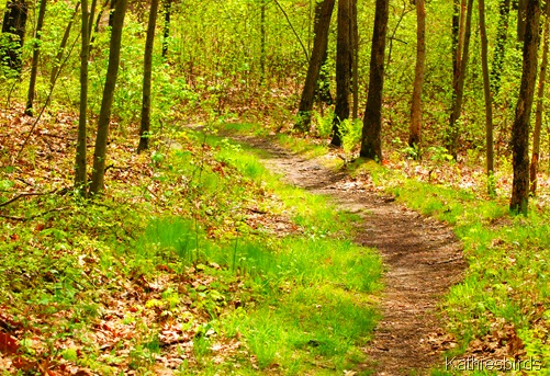 12. path along riverbank-kab