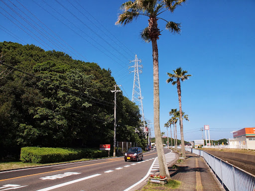 [写真]バス停にて。南国!