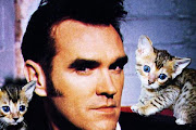 Morrisey