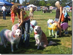 Woofstock 2011 costume contest