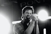 David Cook