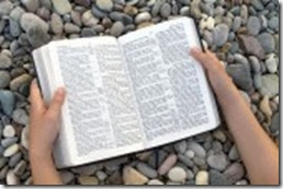 7744043-female-hands-holding-open-bible