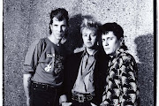 Stray Cats