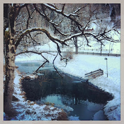 2013-01-24 Zell am See - 30