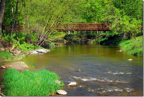 Redwood Bridge 1