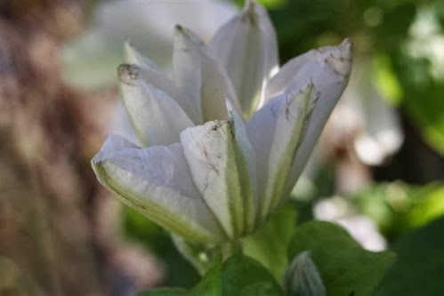 20091008 (1) (Small)