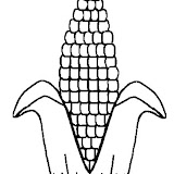 colcorn1.jpg