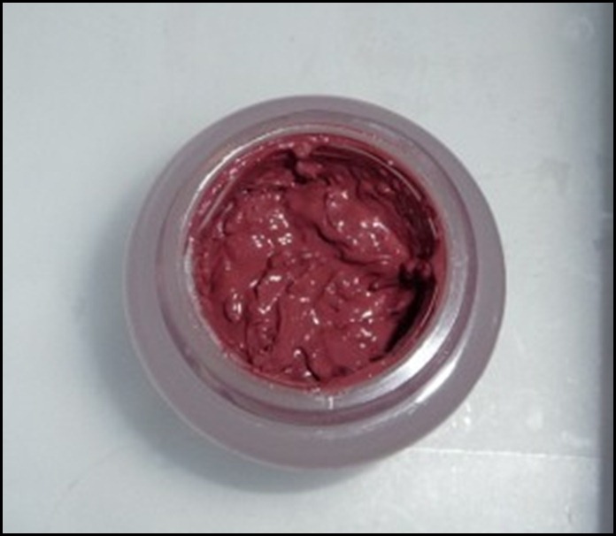 Lipstick 022 (800x600)