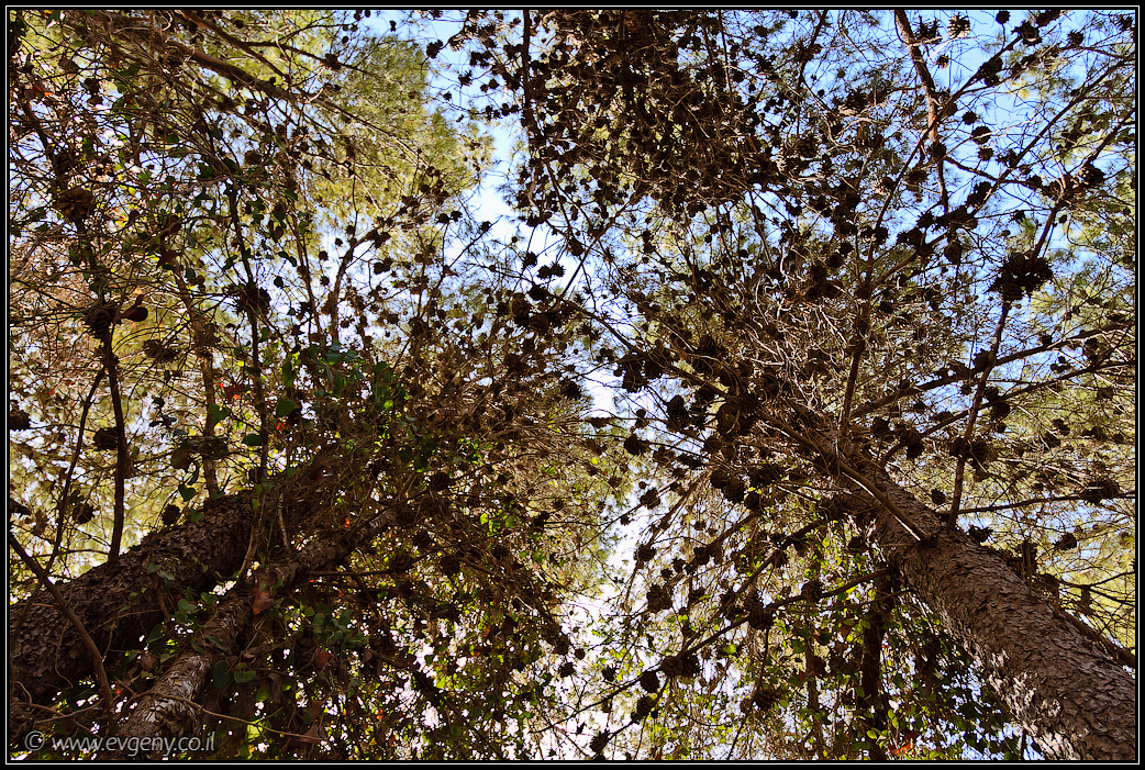 Гора Летчиков | Mt Tayasim | הר הטייסים | LookAtIsrael.com - Фото путешествия по Израилю